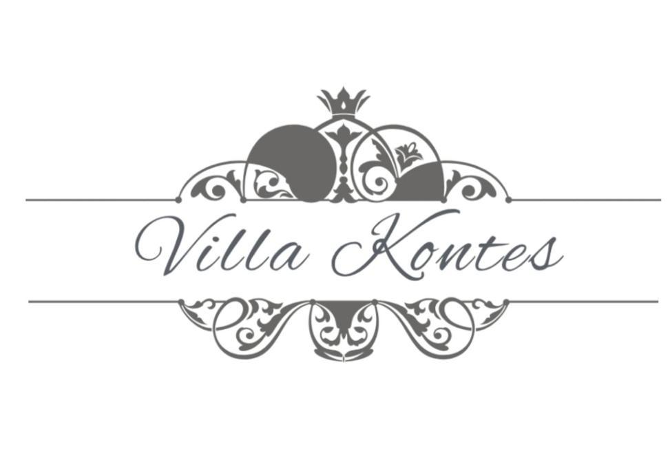 Villa Kontes Kefalonia Kardhakata Exterior photo